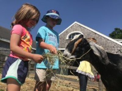 Barnyard Chores