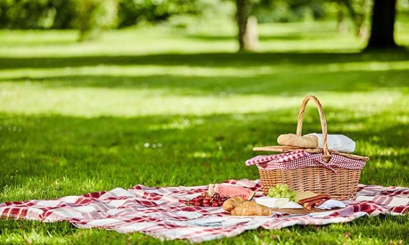 Picnics in the Field