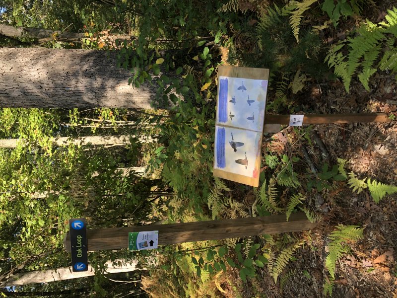Fall StoryWalk 2