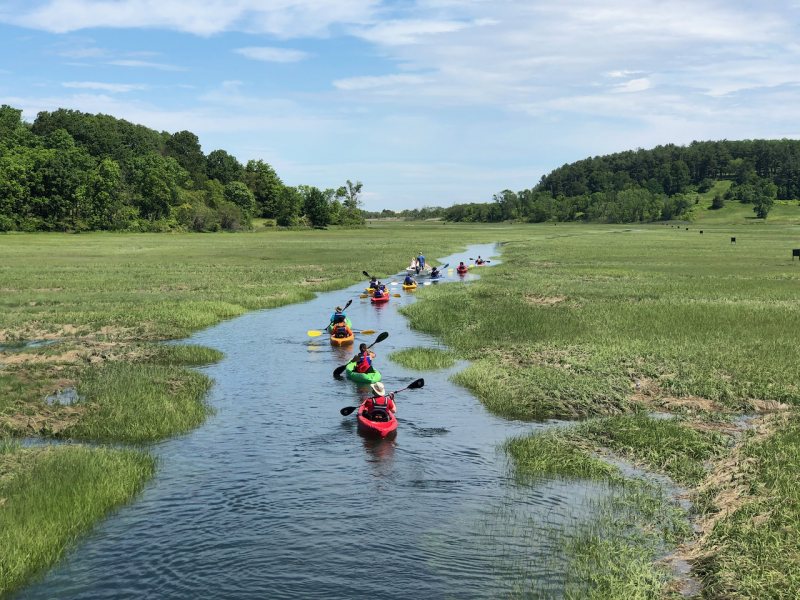 Kayak Fox Creek