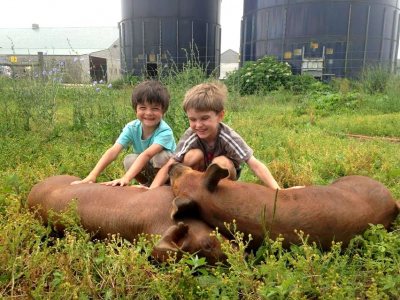 Barnyard Buddies