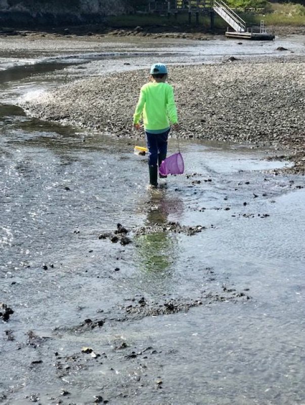 explore shore