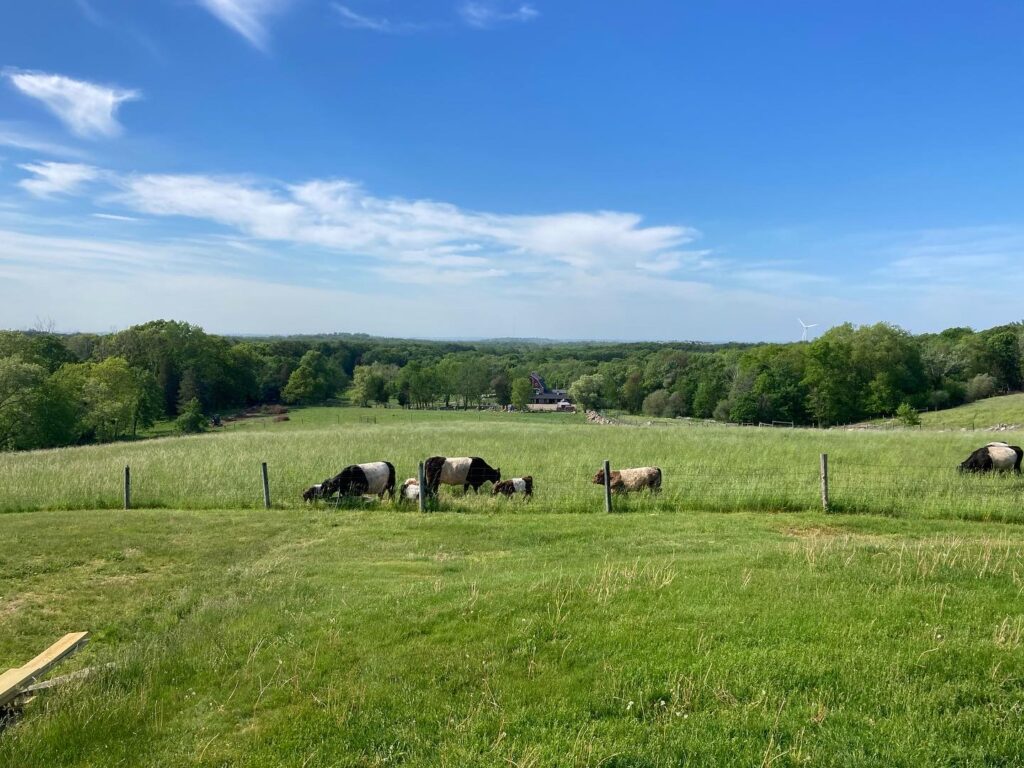 Weir River Farm Private Events The Trustees of Reservations