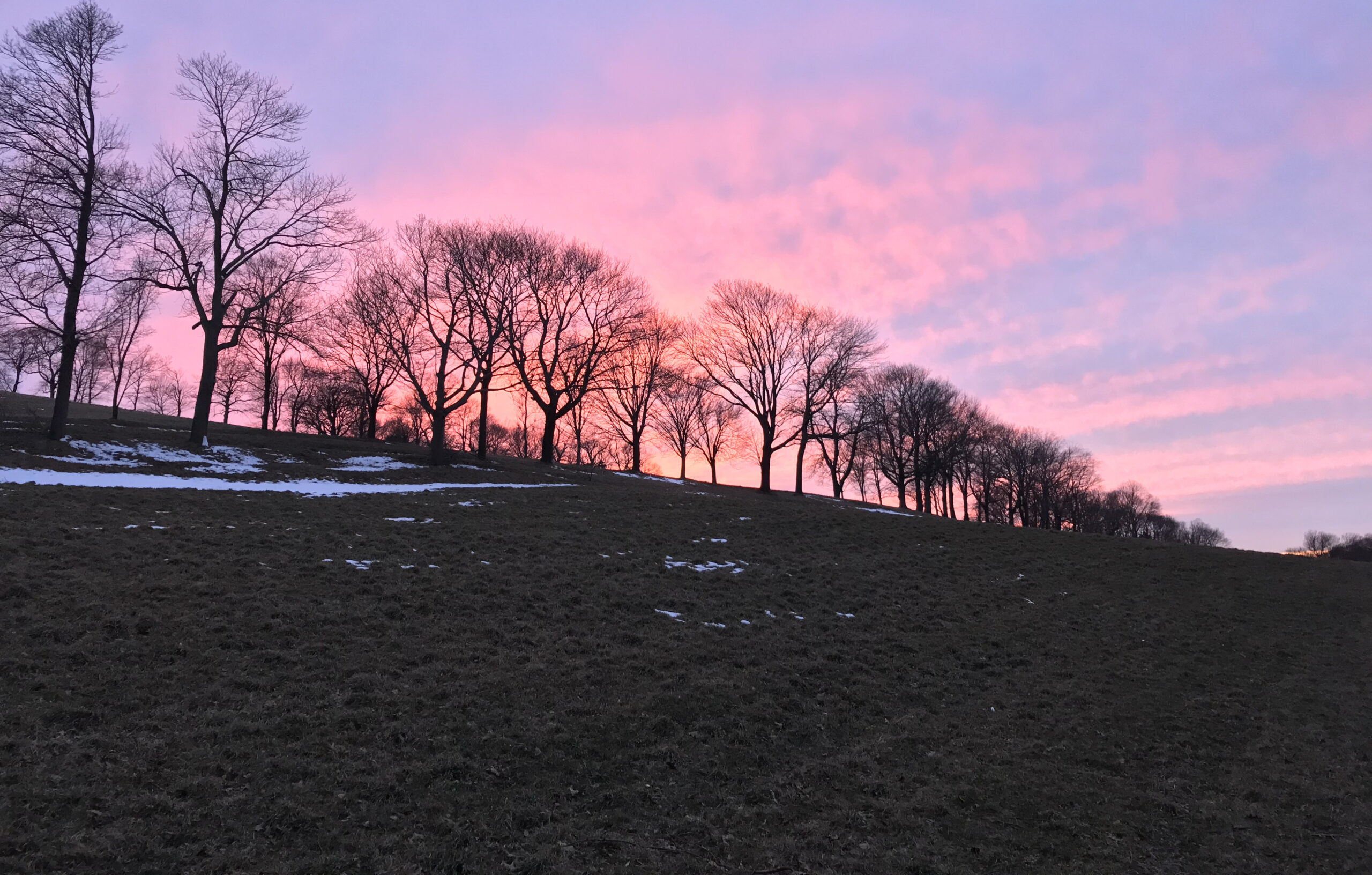 Winter Solstice Events The Trustees Of Reservations