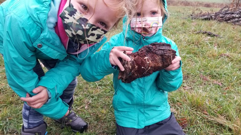 Kids with mushrooms