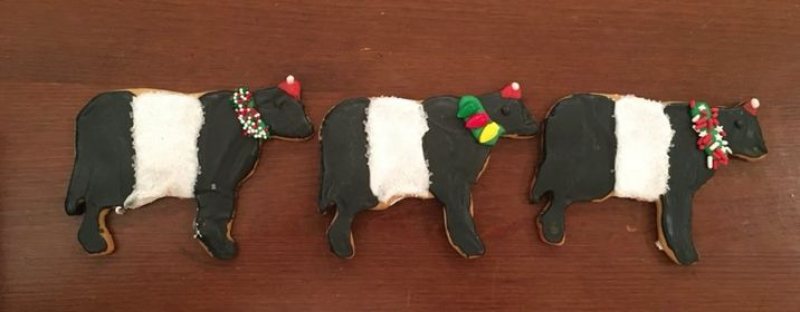 cow cookie