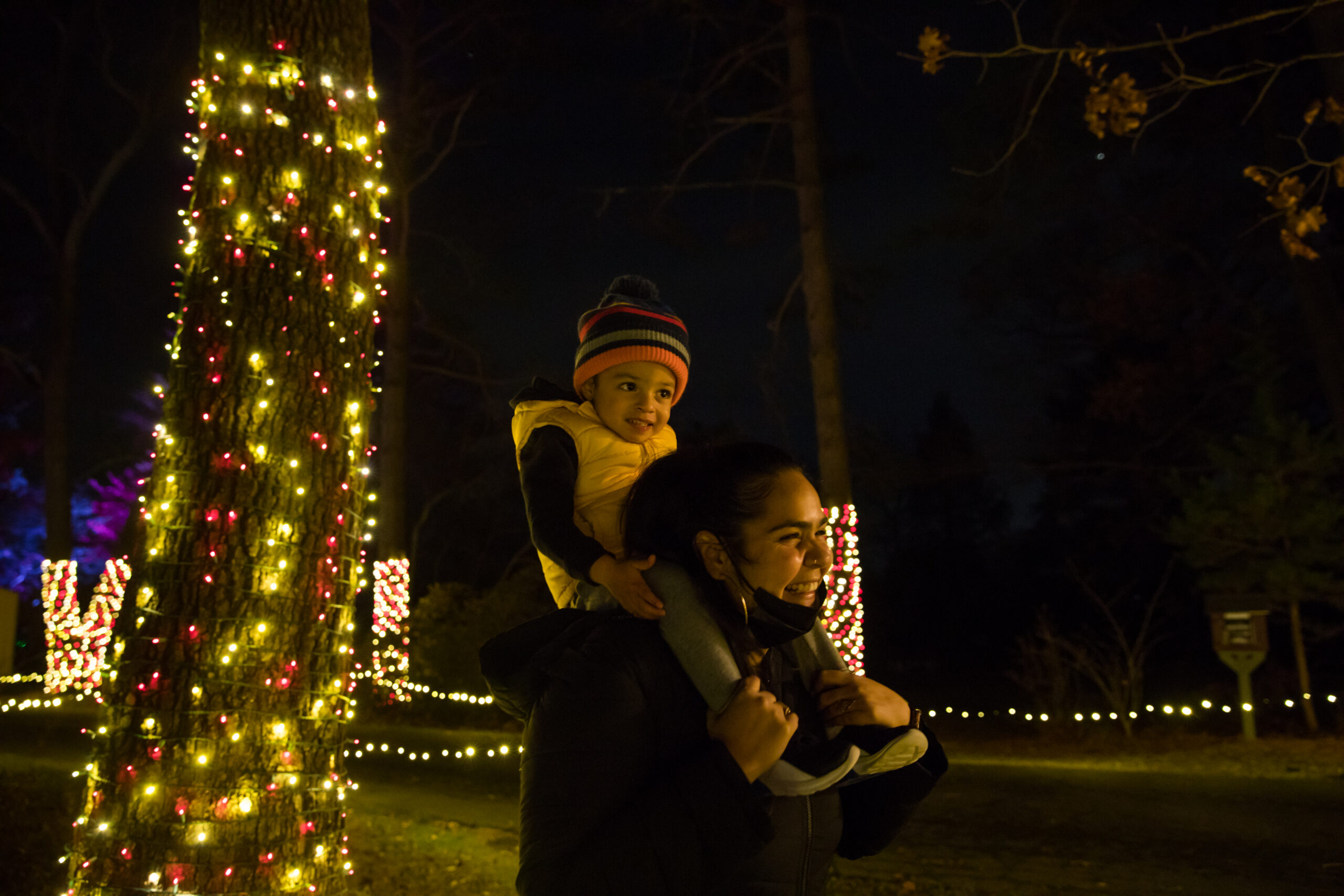 A woman walking with a toddler on her shoulders between trees wrapped in holiday lights at Winterlights