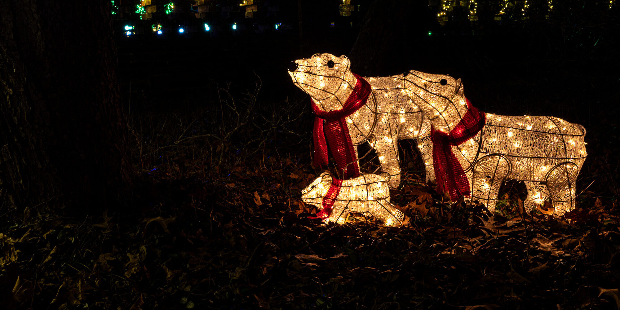 illuminated polar bears