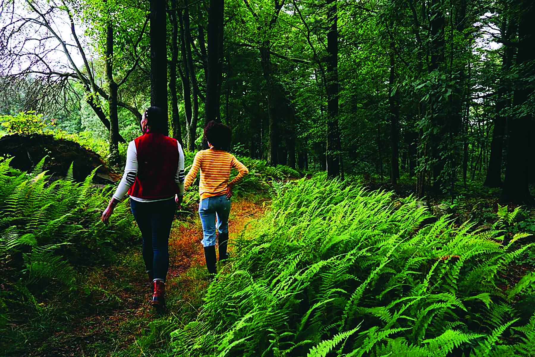 Two people walking together on a path at Ward Reservation