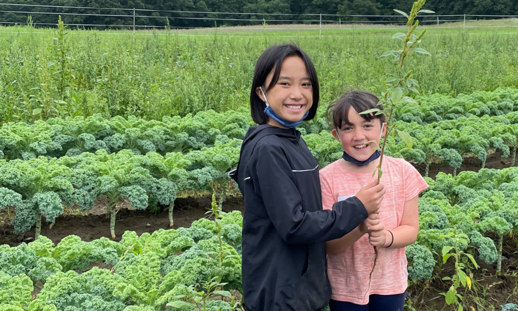 FarmBased Education Programs The Trustees of Reservations