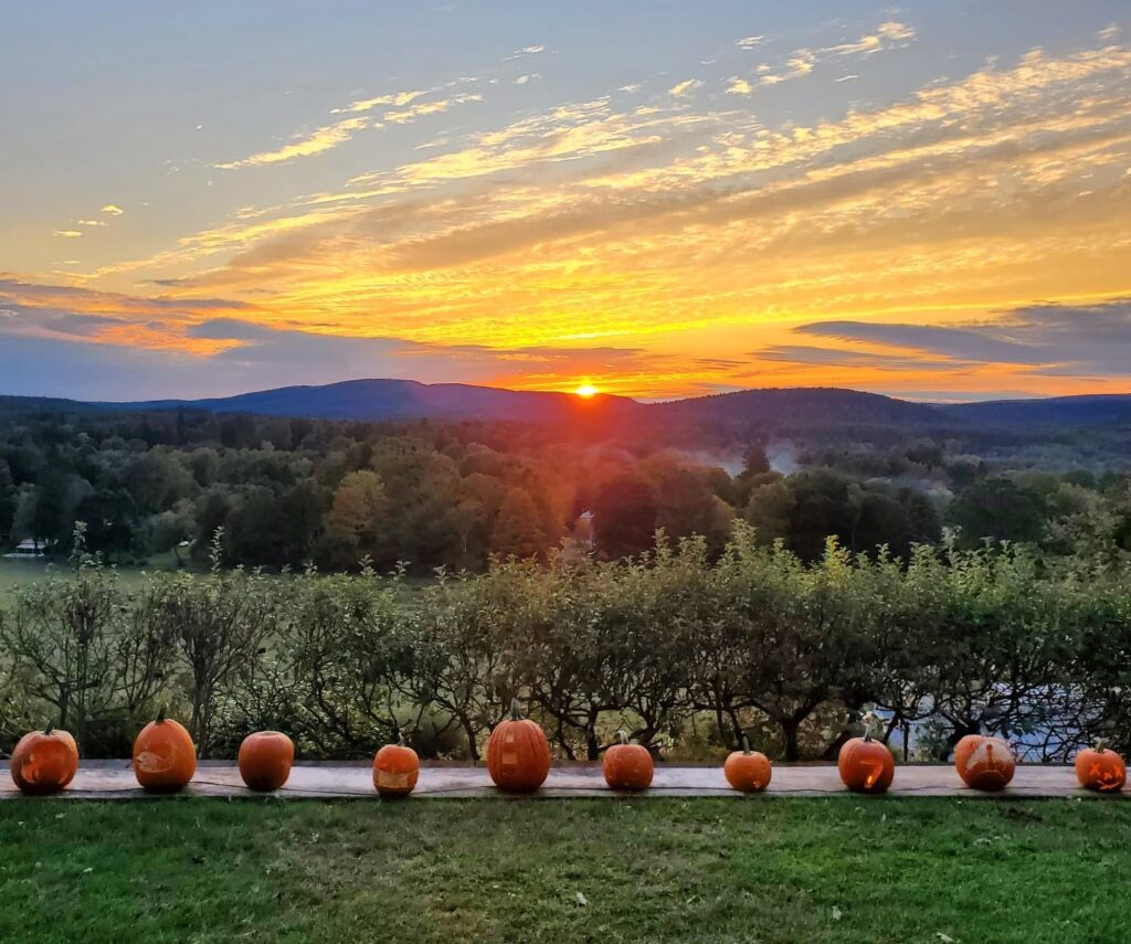 Naumkeag Pumpkin Show 2024 Tickets Amalee Isabella