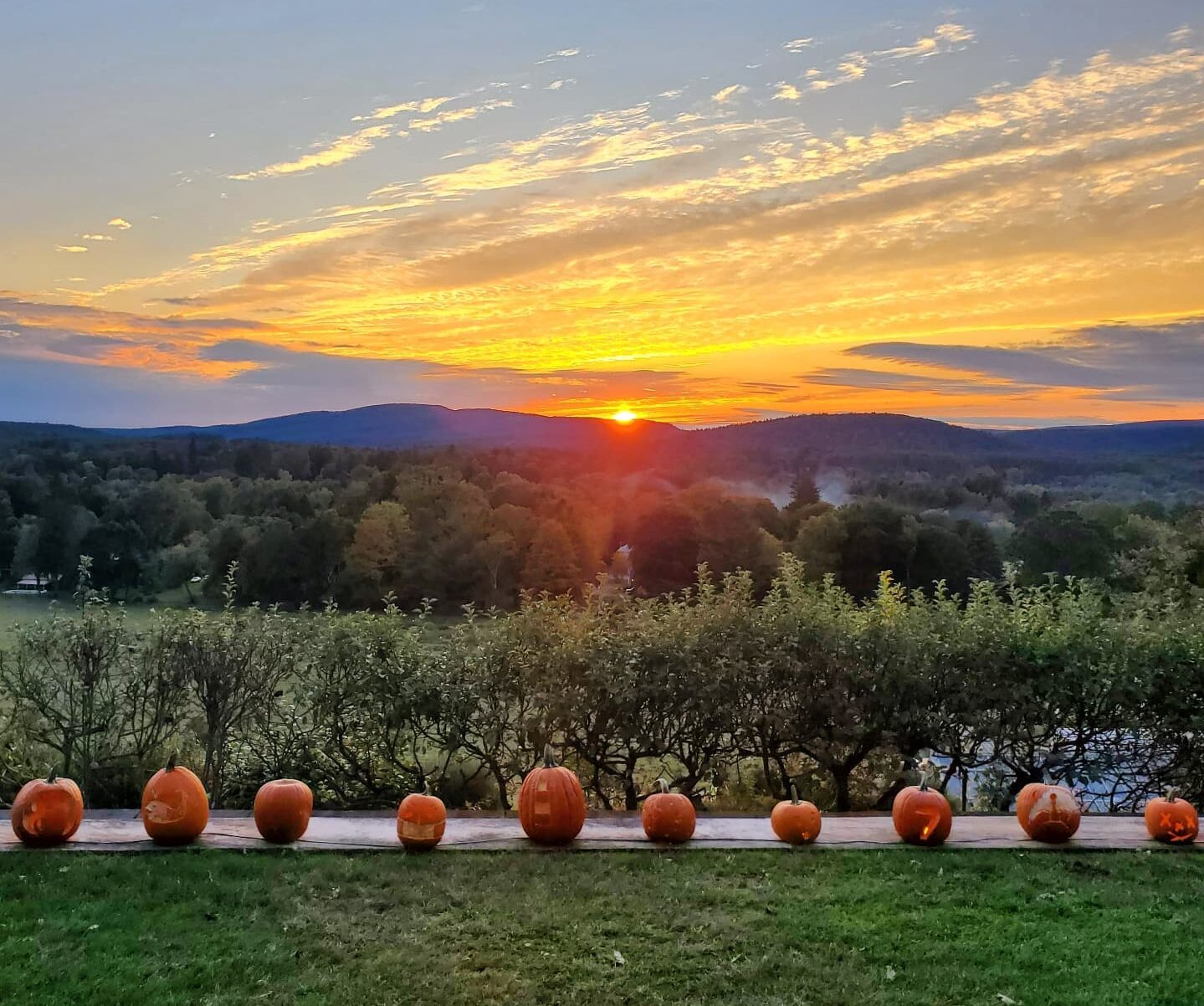Naumkeag sunset with pumpkins