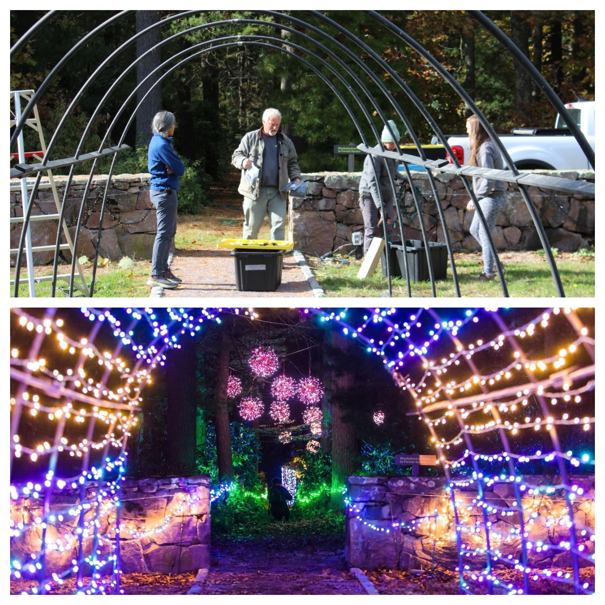 A before and after collage of Winterlights set up activities and final lighted walkways