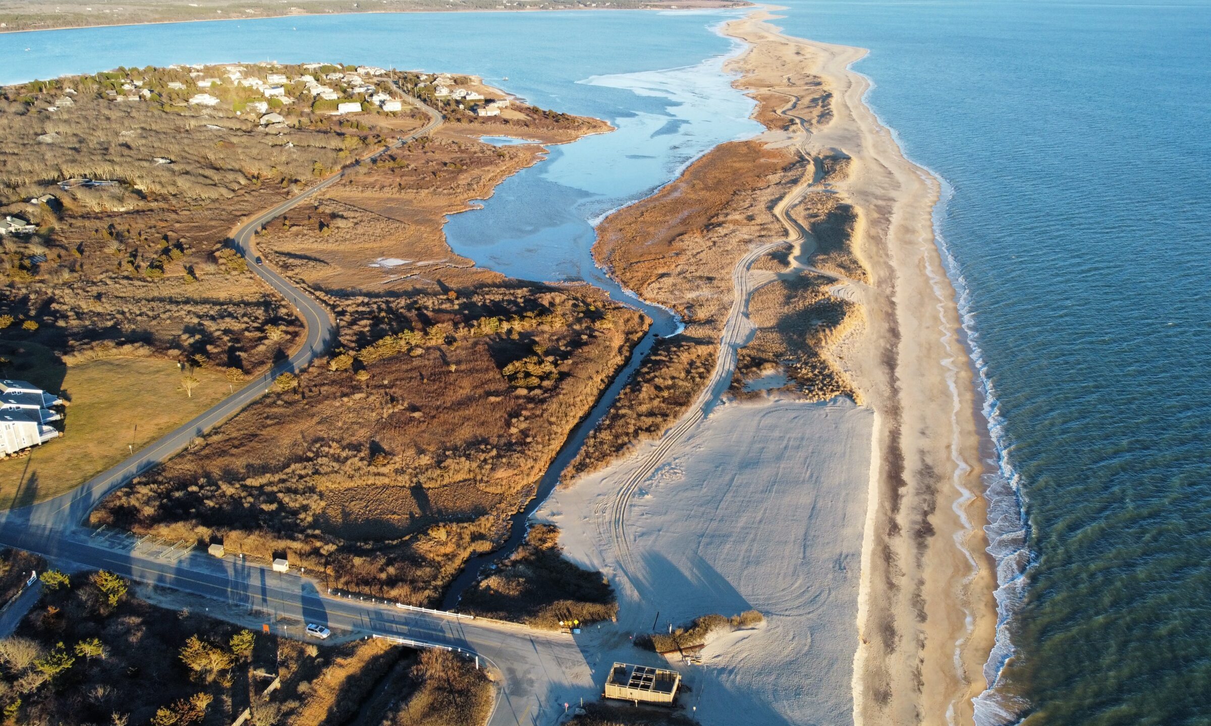 Norton Point Dune restoration site January 27, 2022 (Trustees photo)