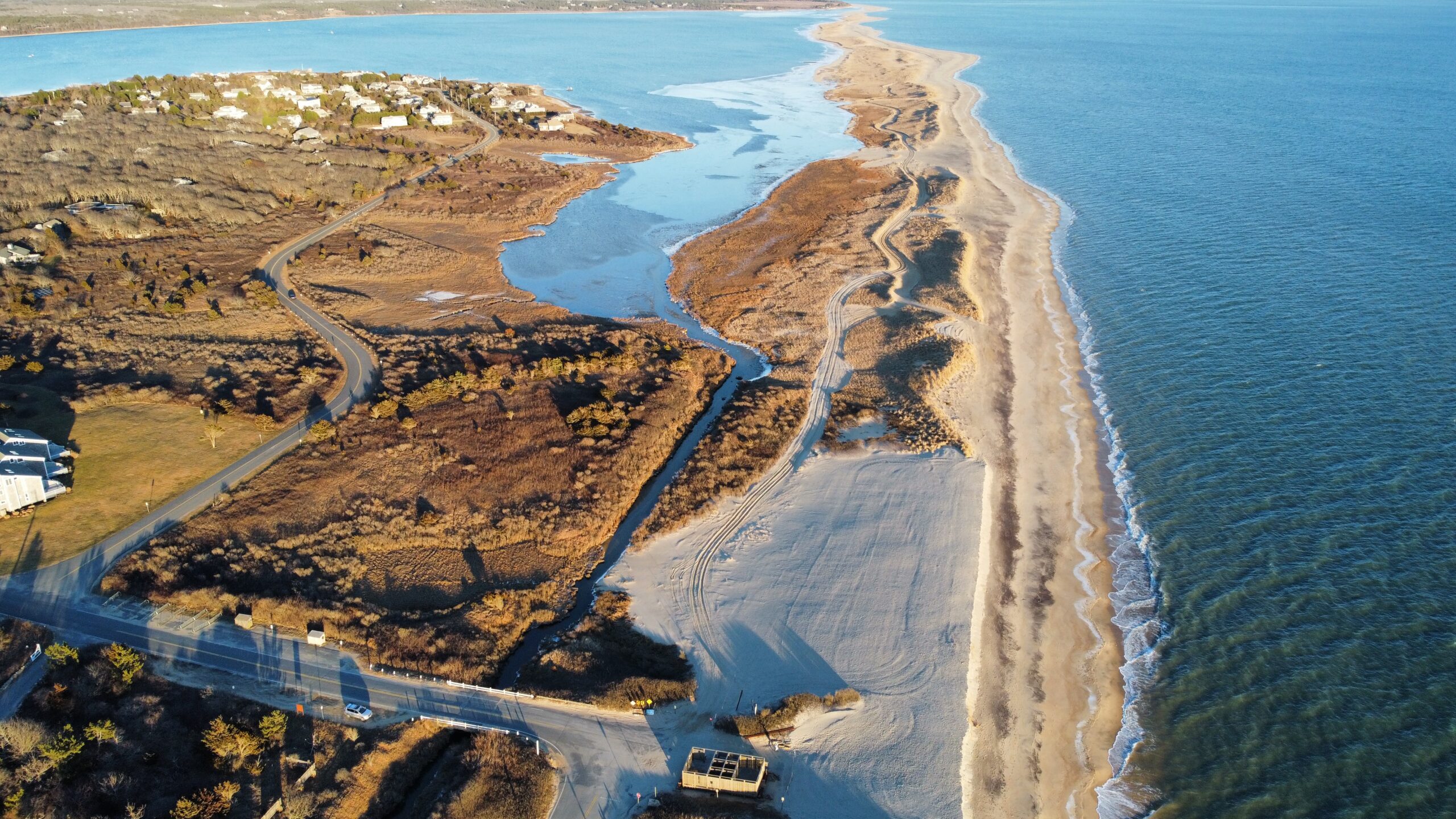 Norton Point Dune restoration site January 27, 2022 (Trustees photo)