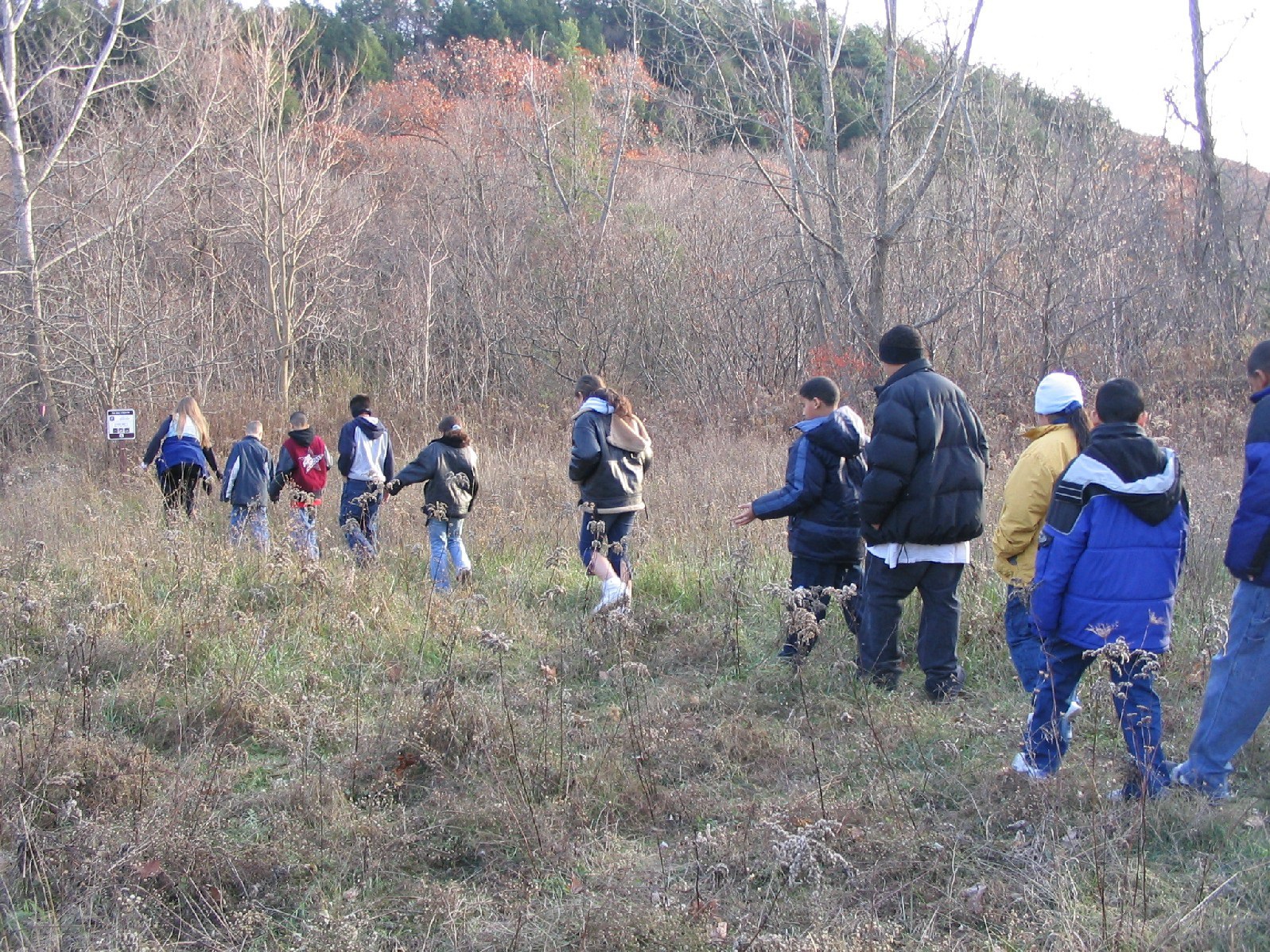 A large group of kids walking in a line across a field toward the woods during the day
