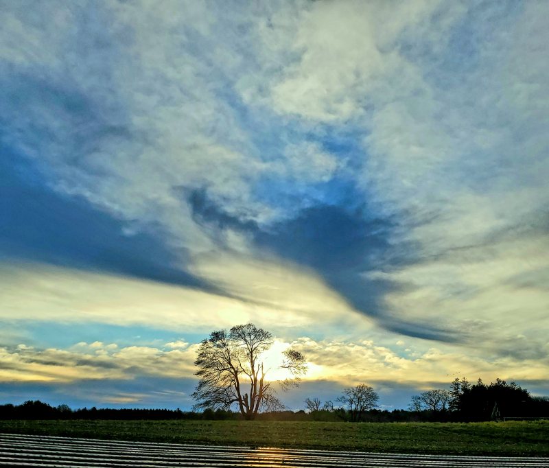 appleton sunrise