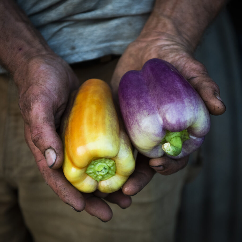 The Trustees of Reservations People. Places. Perpetuity.