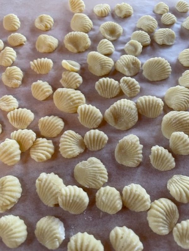 seashell pasta