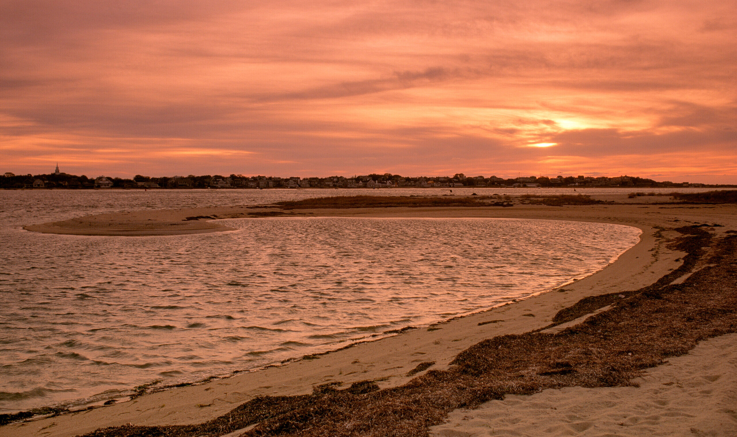 Photo by Richard Cheek of Coskata-Coatue Wildlife Refuge on Nantucket.