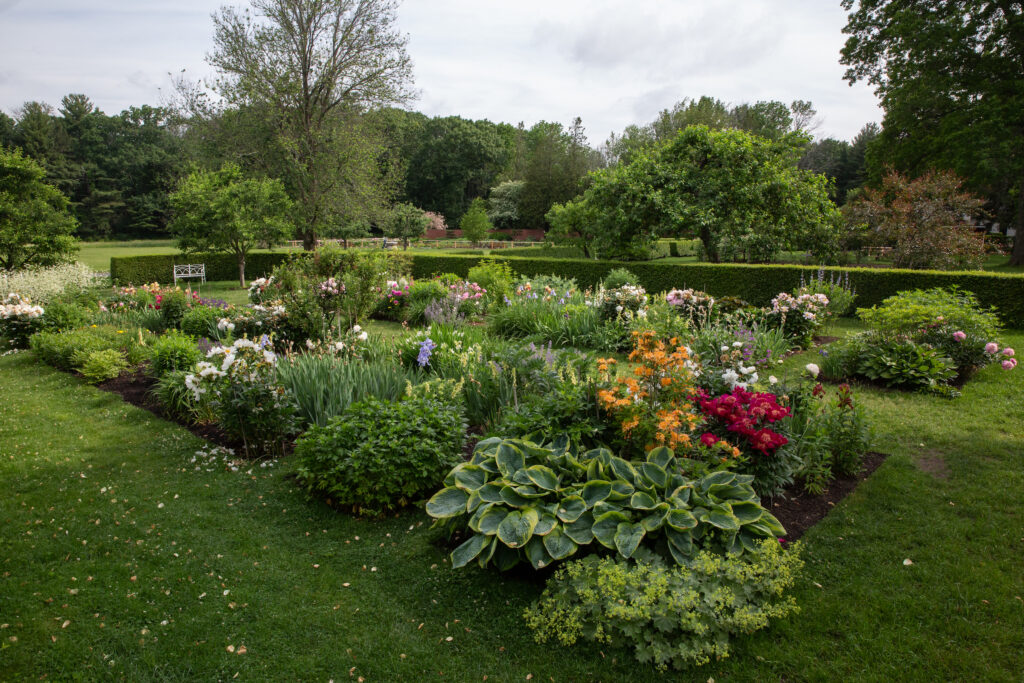 Stevens-Coolidge House & Gardens - Perennial Garden