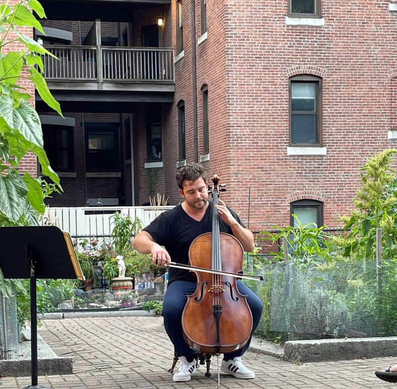 cello cropped