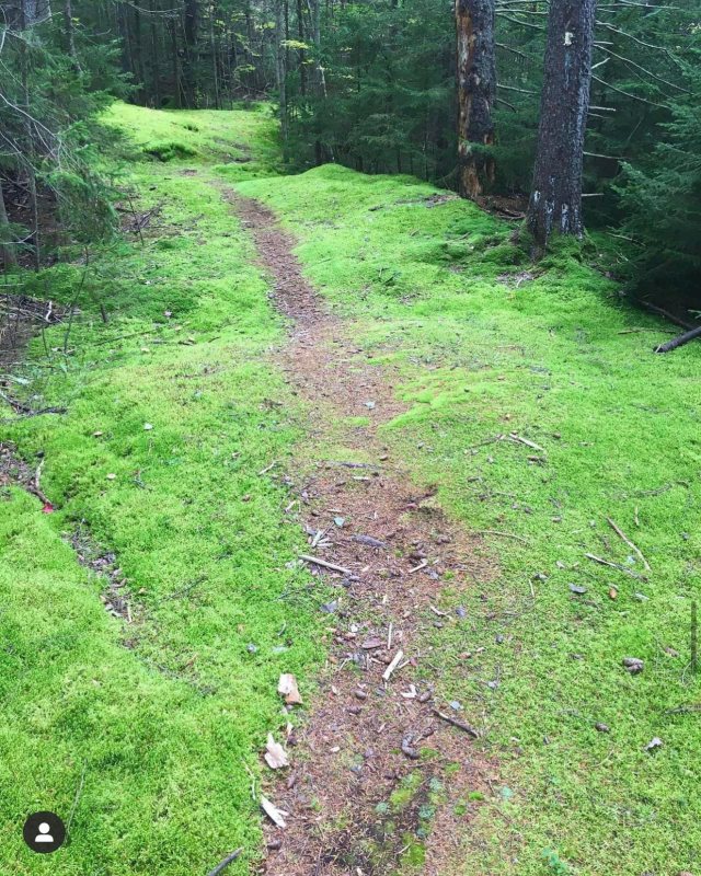 green trail notchview