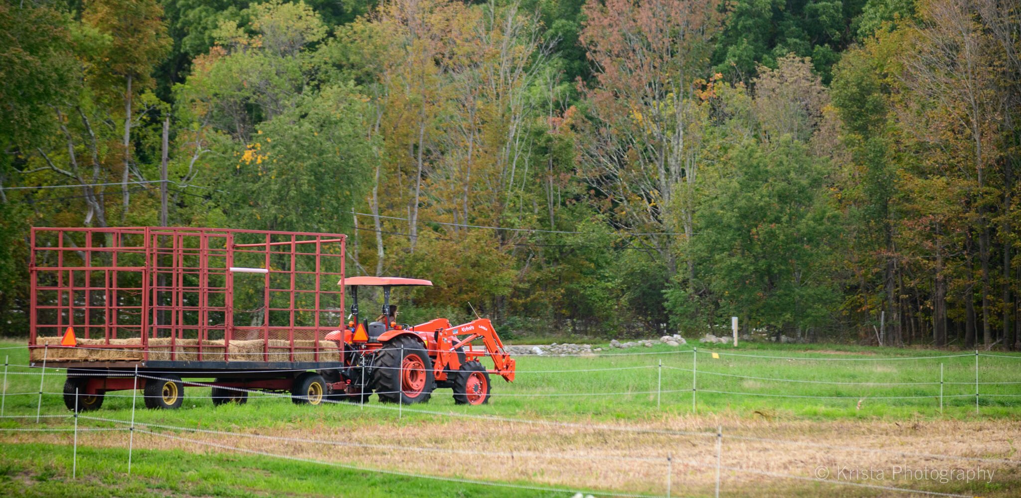 A tractor at Powisset Farm