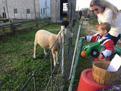 barnyard boo