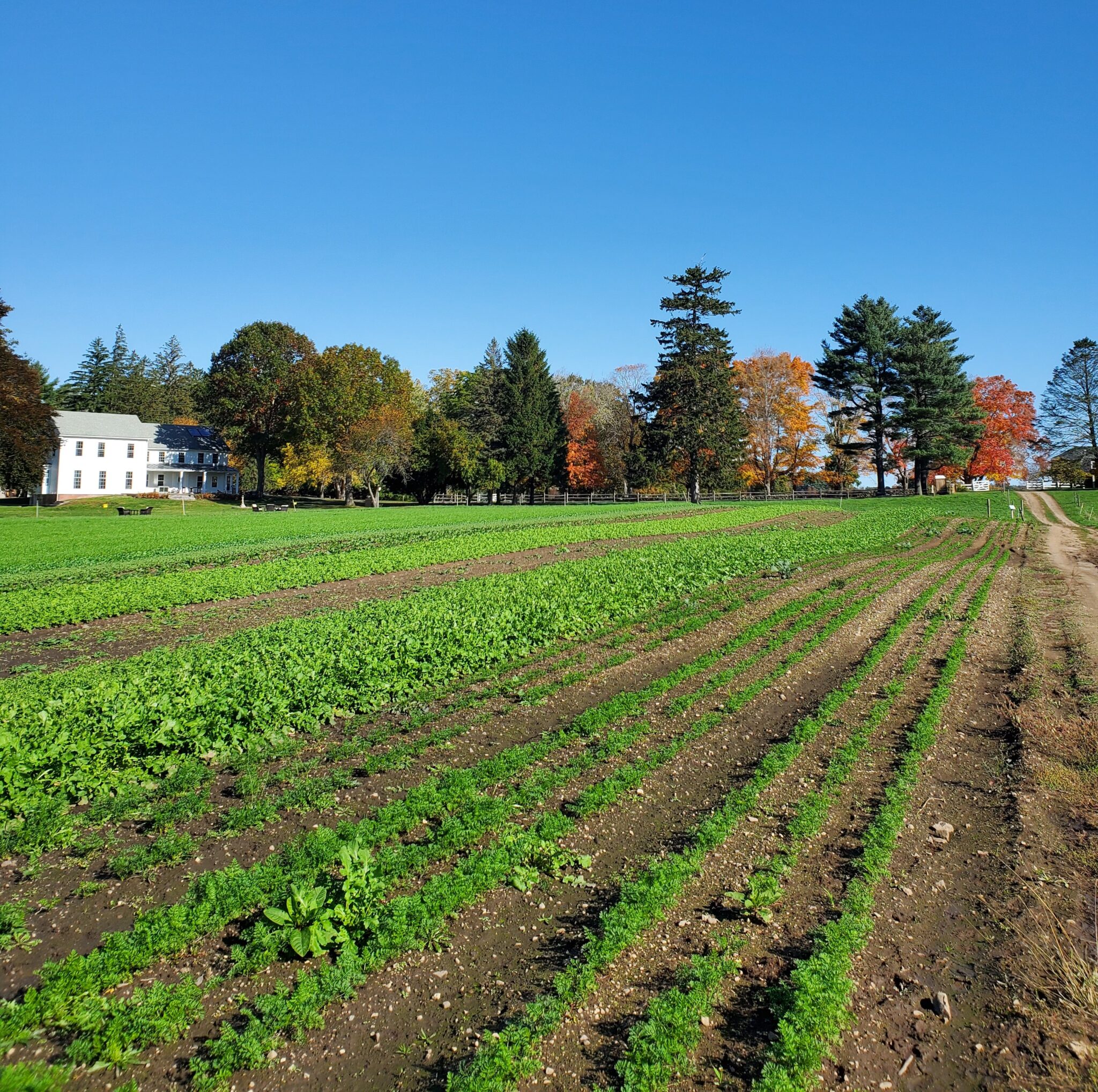 Trustees Agriculture and Greenhouse Gas Emissions - The Trustees of