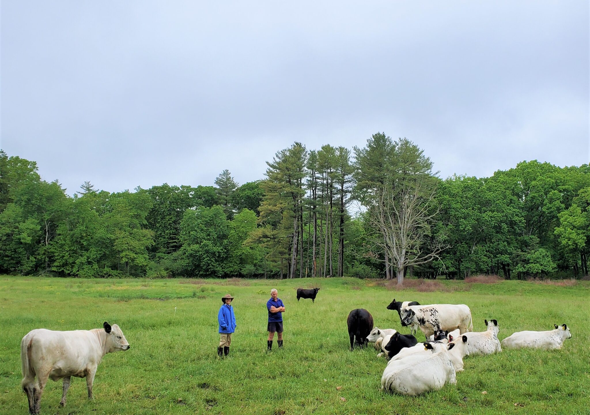 Meet Pasture and Livestock Manager Sean O'Sullivan The Trustees of