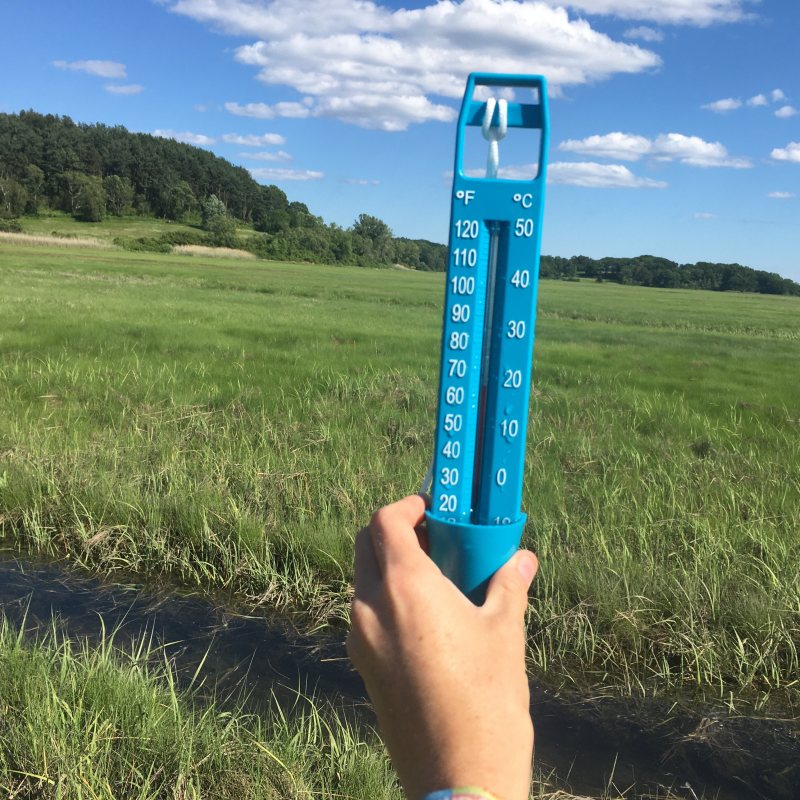 marsh thermometer