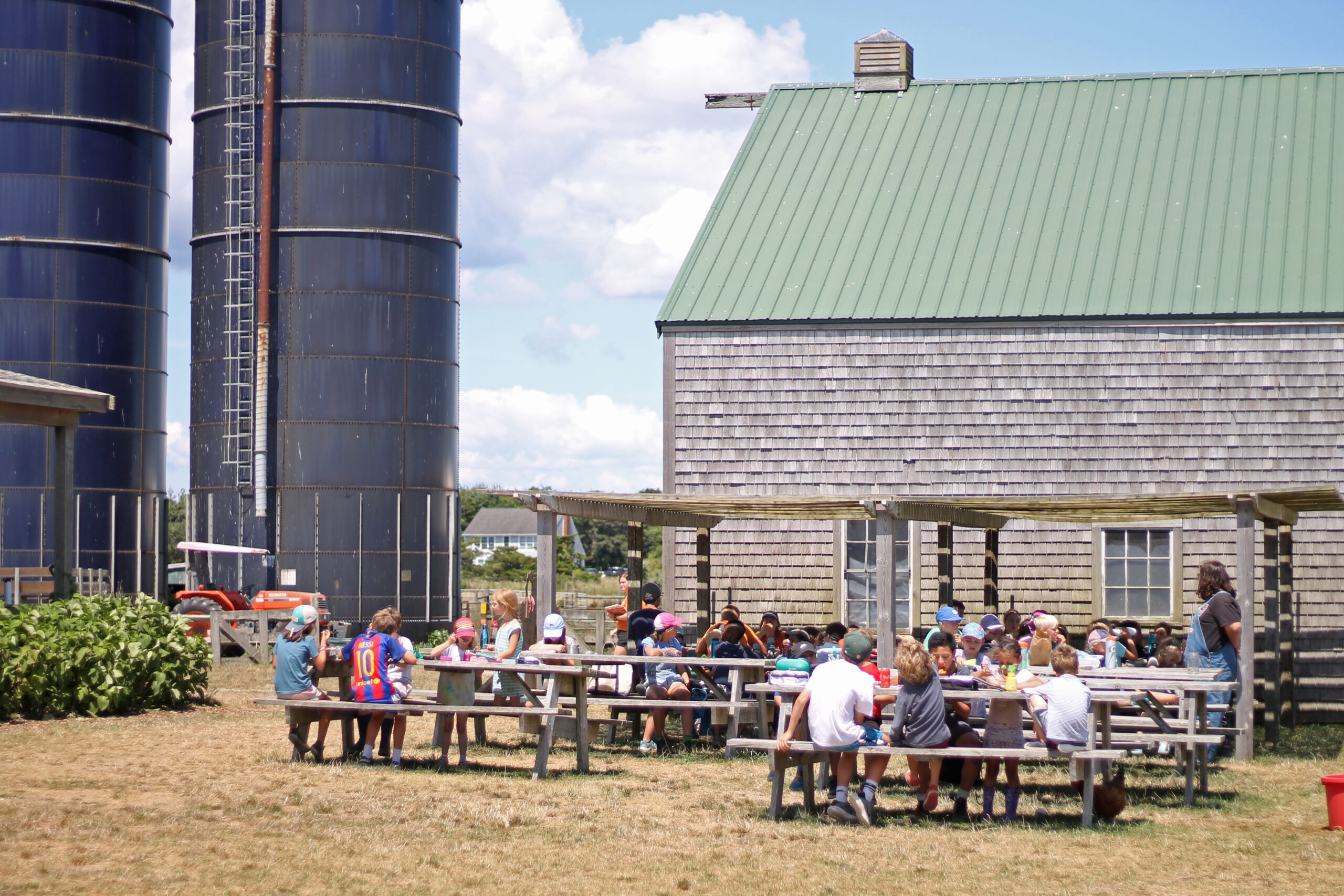 The FARM Institute Farm Camp on Martha's Vineyard