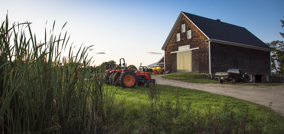 Brown barn and orange tractors with tall green grass under a blue sky at Appleton Farms