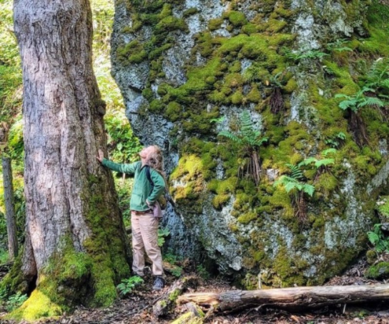moss