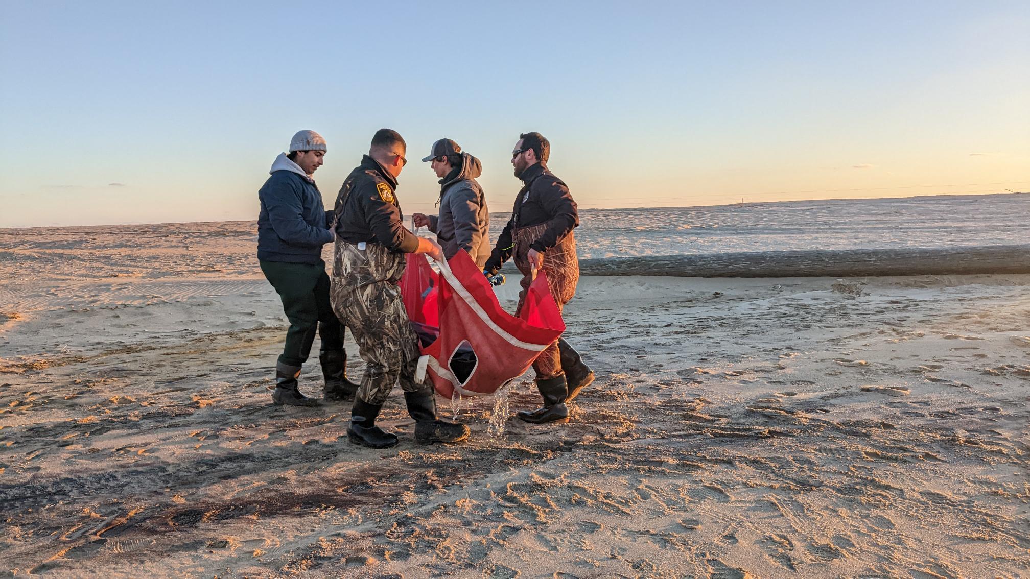 four men carry a standard dolphin to safety in a red blanket