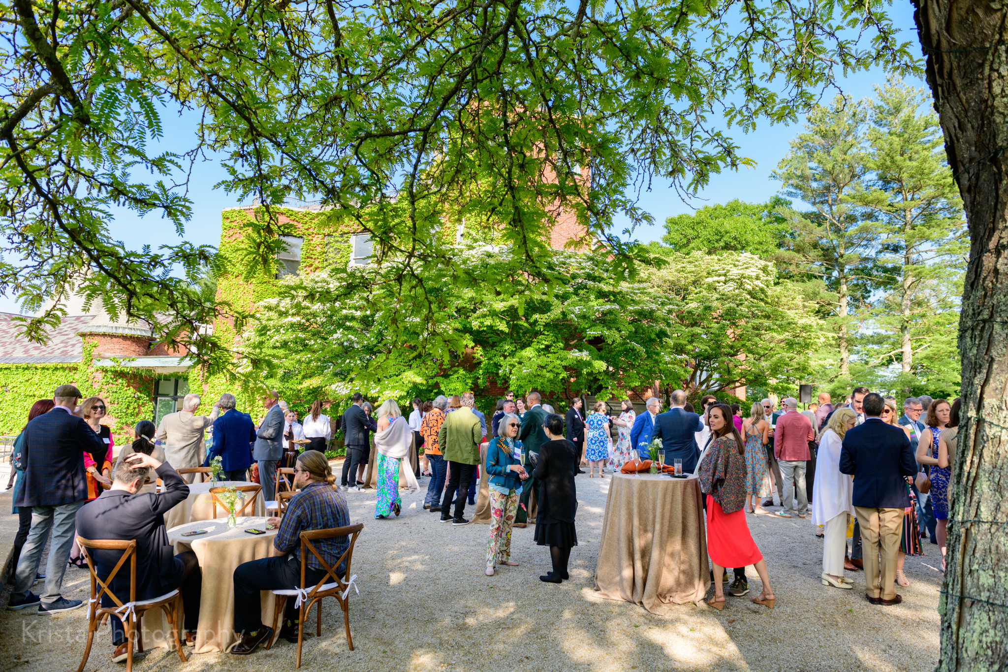 Guests outside during cocktail hour with blue sky and green trees