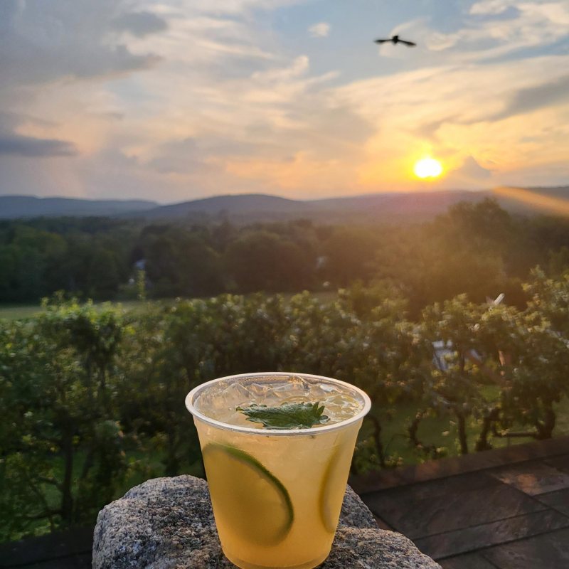 sunset fridays