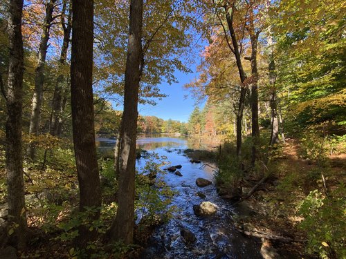 A stream running through Hale Reservation on a beautiful, blue-sky, autumn day.