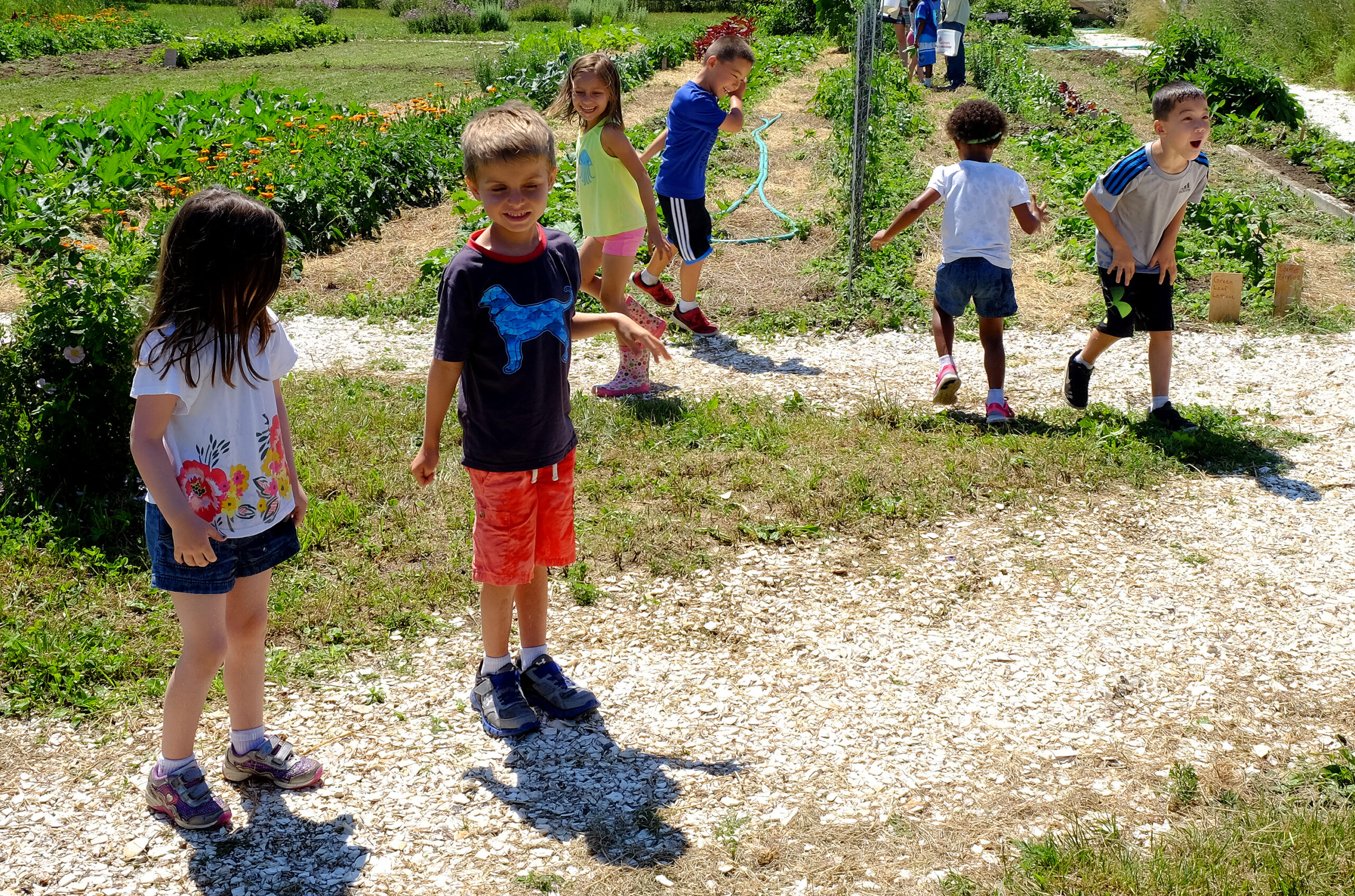 Several children outdoors around a garden at The Farm Institute