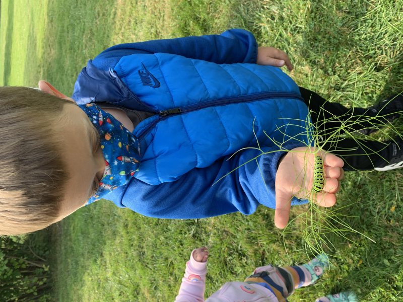 Wee Explorers