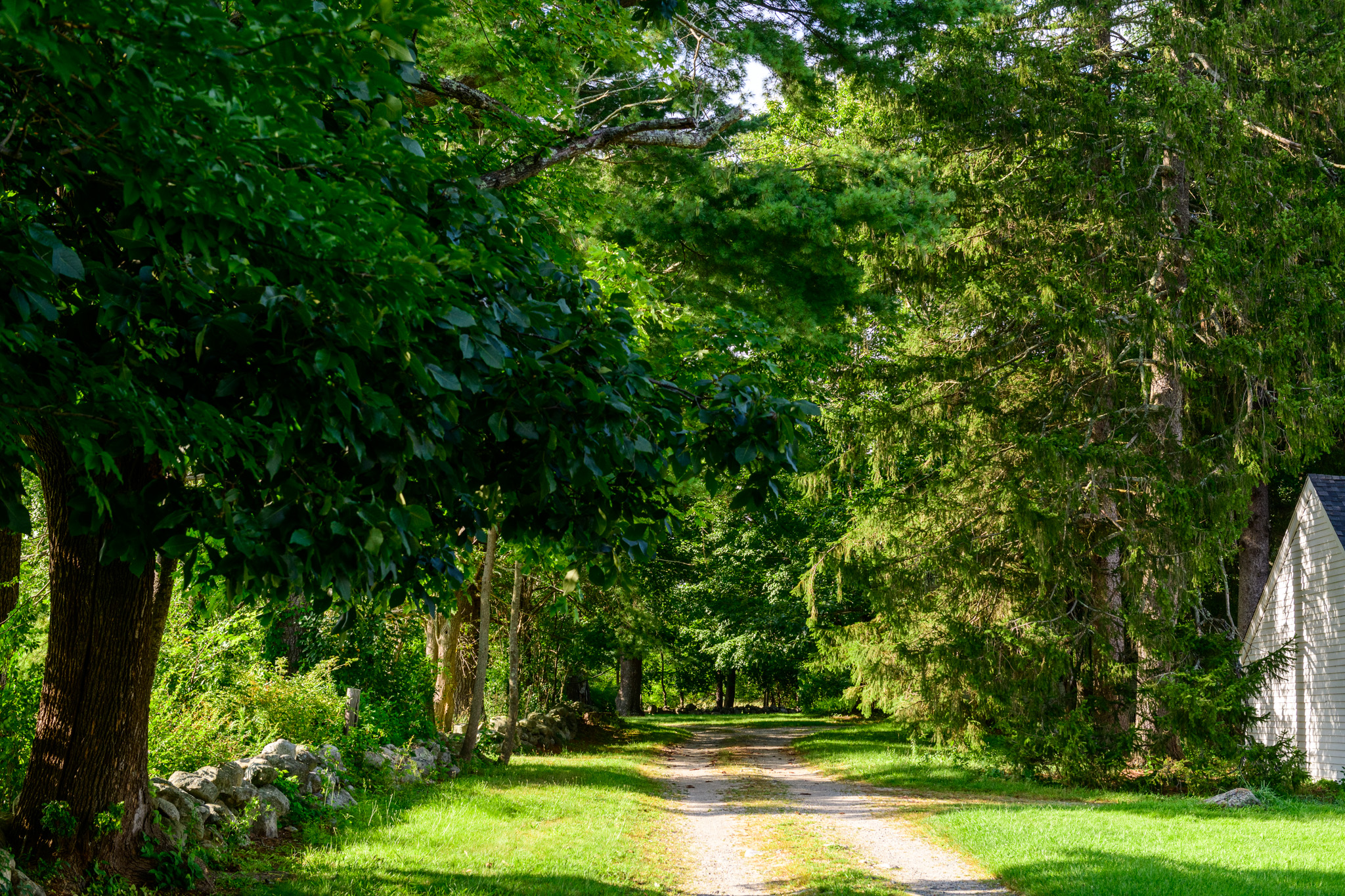 Dirt Road at Millborn Farm