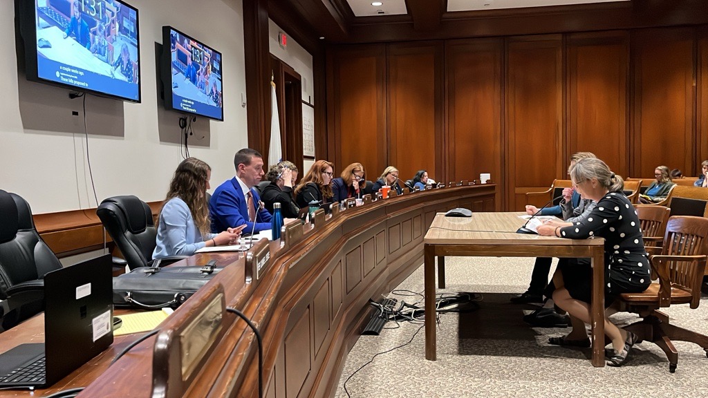 A committee of several elected officials faces a panel in a Massachusetts State House hearing room.