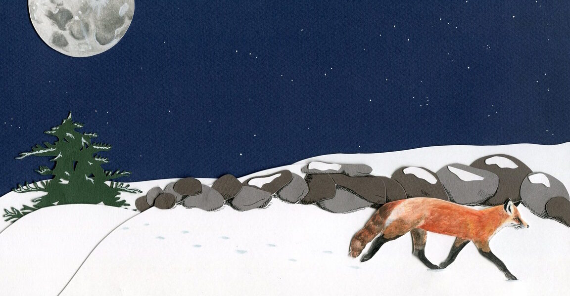 a fox on white snow in a night sky and full moon