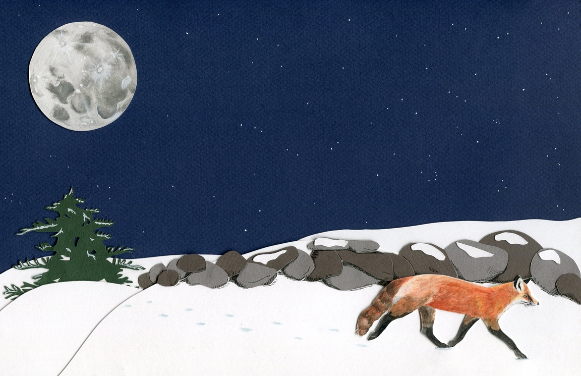 a fox on white snow in a night sky and full moon