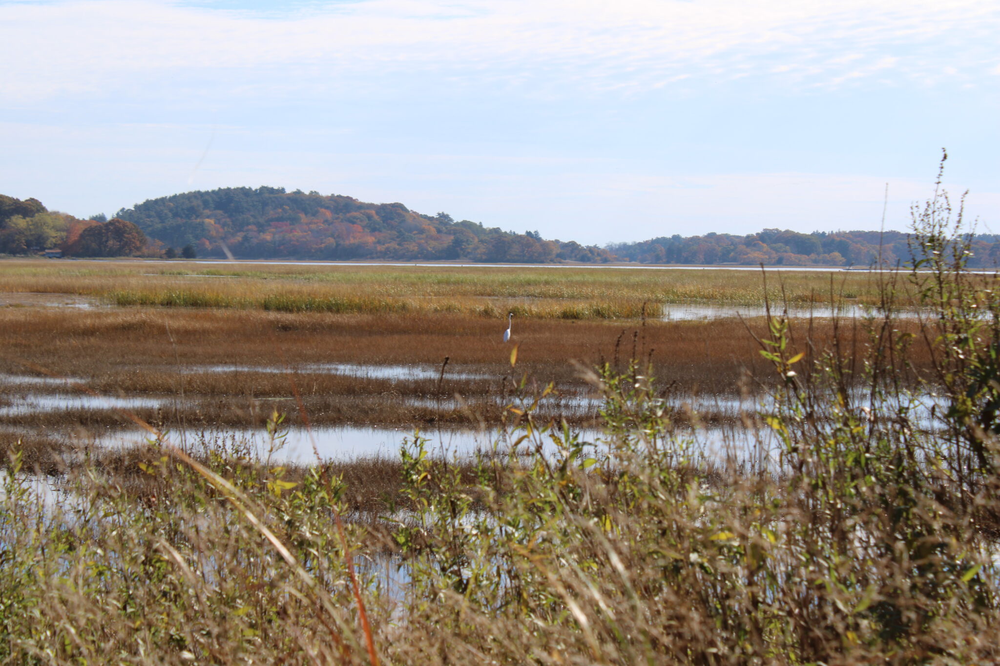 Growing Resiliency at Greenwood Farm The Trustees of Reservations