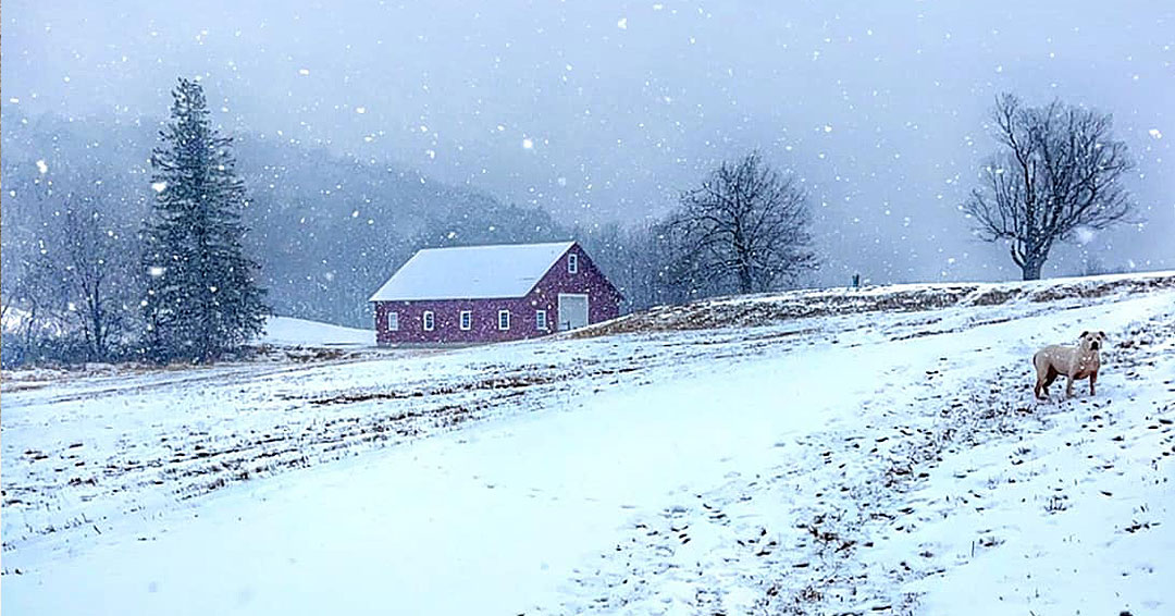 A red barn on a hill, surrounded by falling snow