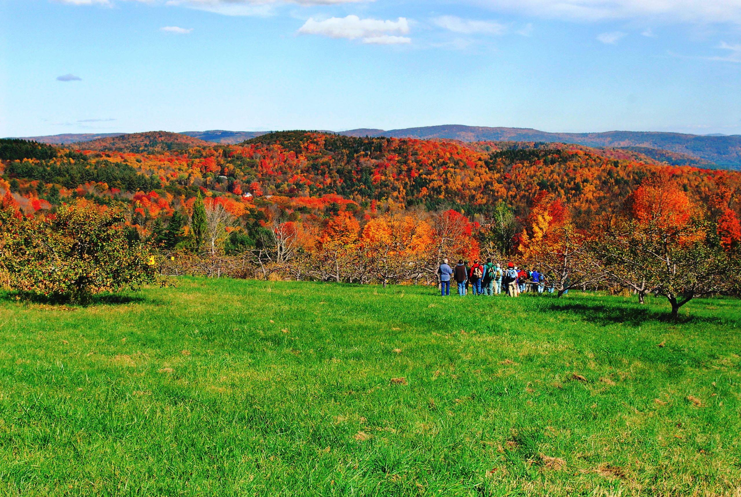 A group stands on a green hilltop overlooking colorful fall trees and hills in the distance