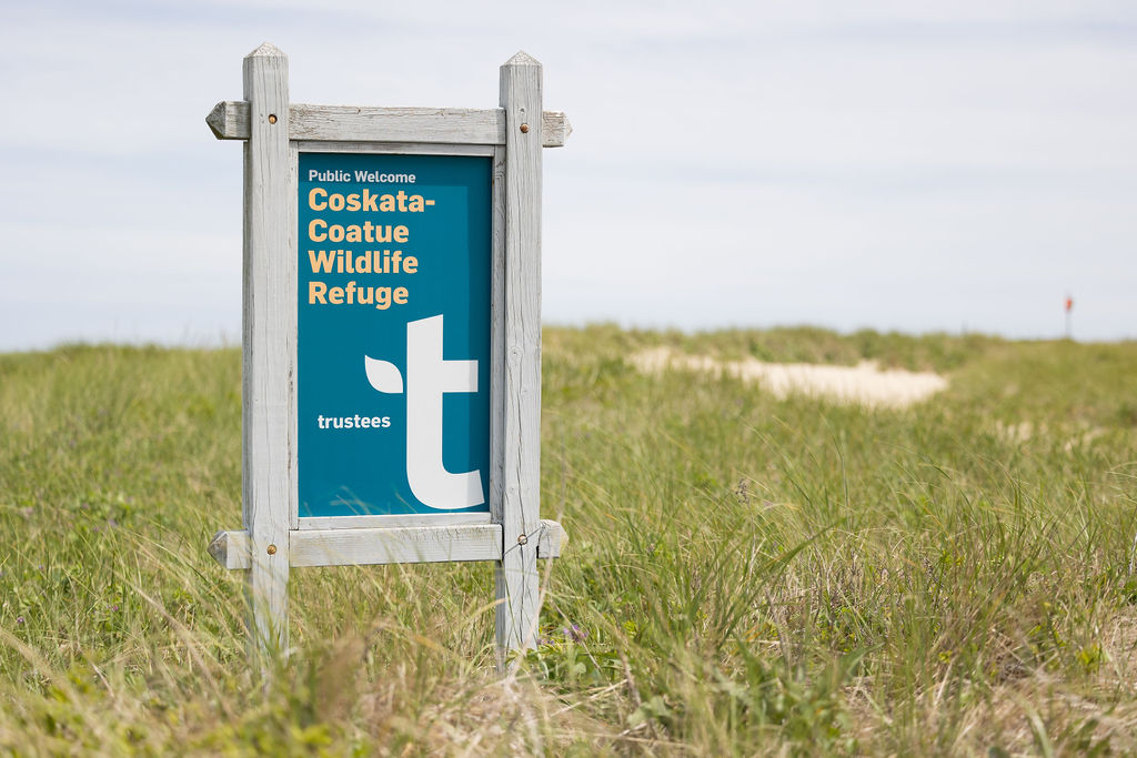 a blue sign mounted in a marsh with the ocean in the background