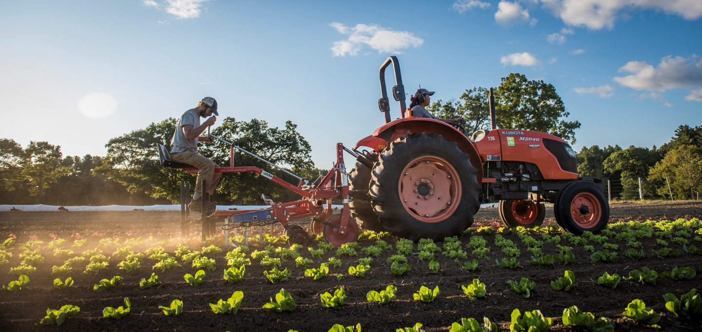 A farmer at Appleton Farms driving a tractor in a field with crops